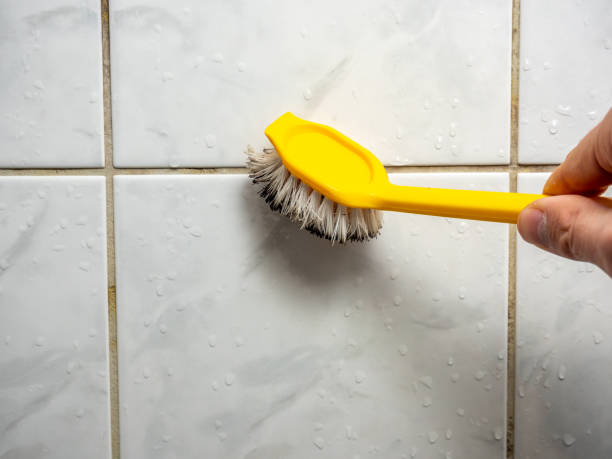 Best Same-Day Mold Removal  in Waynesboro, TN