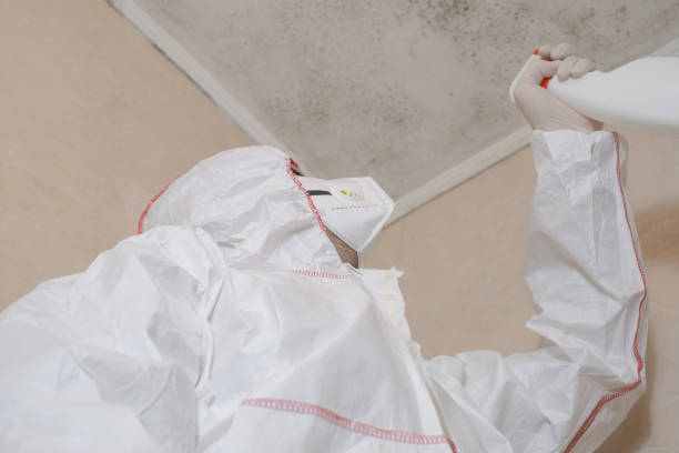 Best Mold Remediation Experts  in Waynesboro, TN