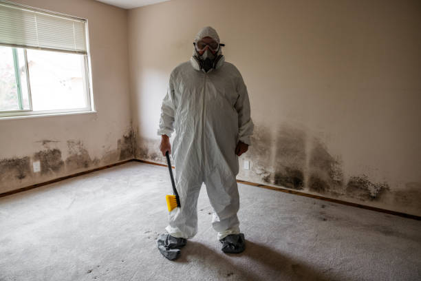 Best Certified Mold Removal  in Waynesboro, TN